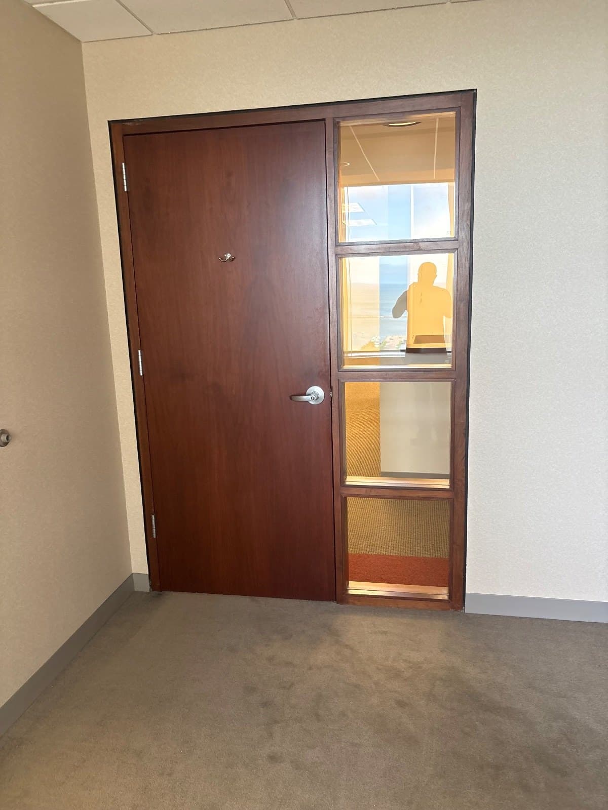 A wood-grain commercial flush door hung in a plain corridor, a narrow vision lite beside the lock and a full-height sidelite alongside.