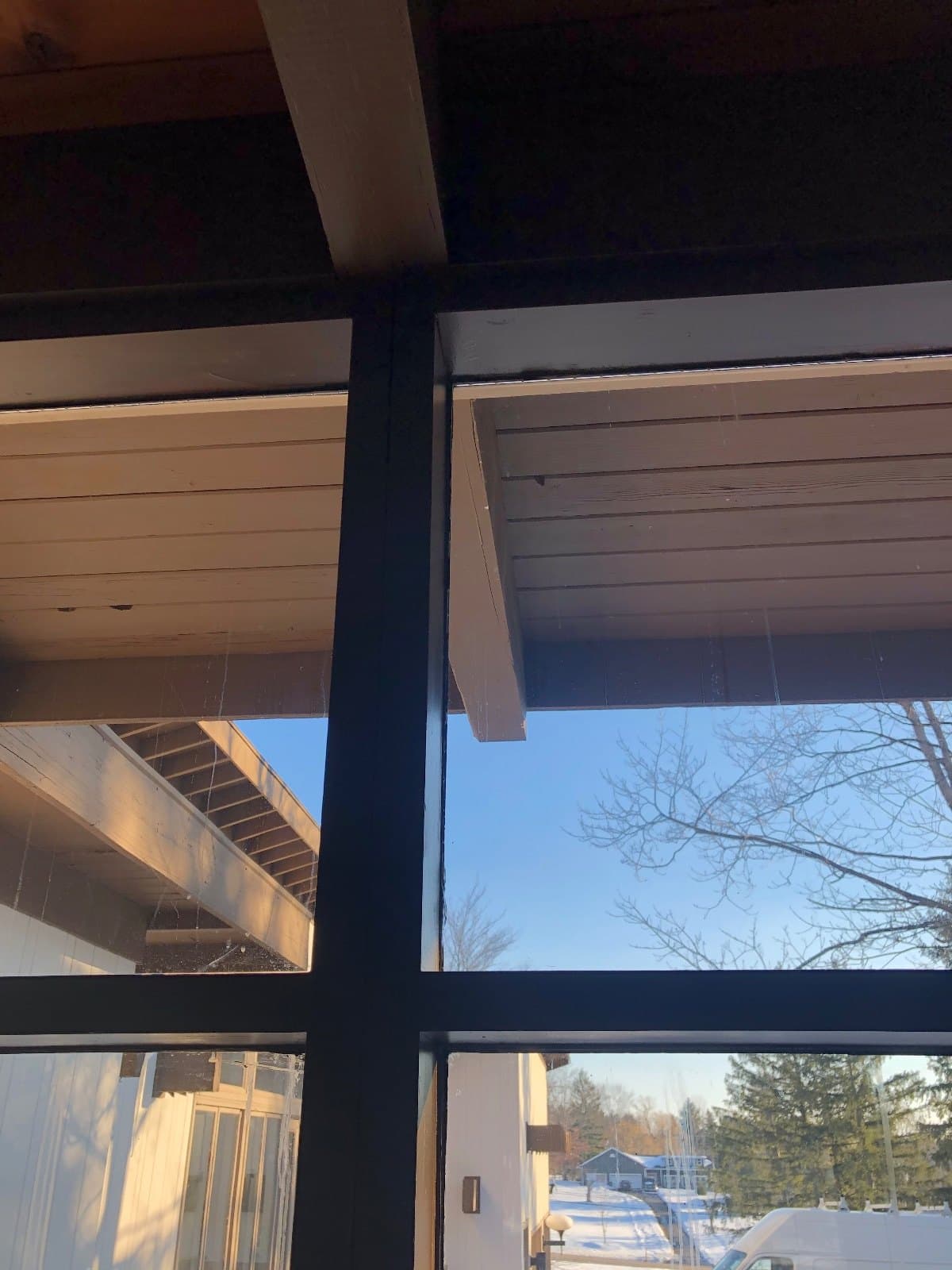 Close view of transom glass against a wood porch ceiling, looking out to the trees.