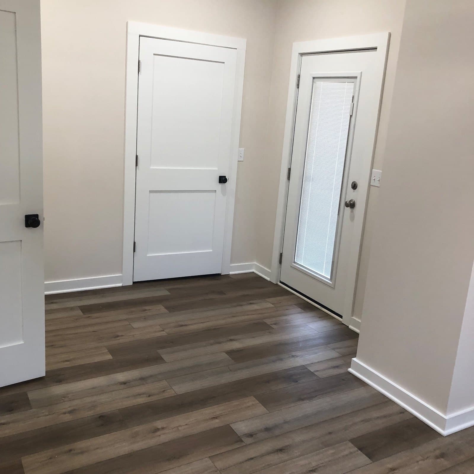 An entry landing with a panel door and a glazed exterior door, vinyl plank up to the threshold.