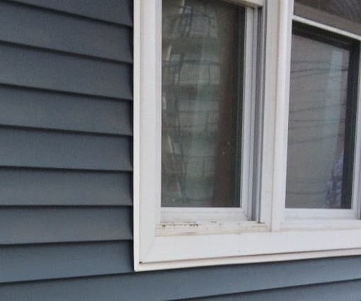 A white-framed double window set in blue-gray lap siding, sill and casing in close view.
