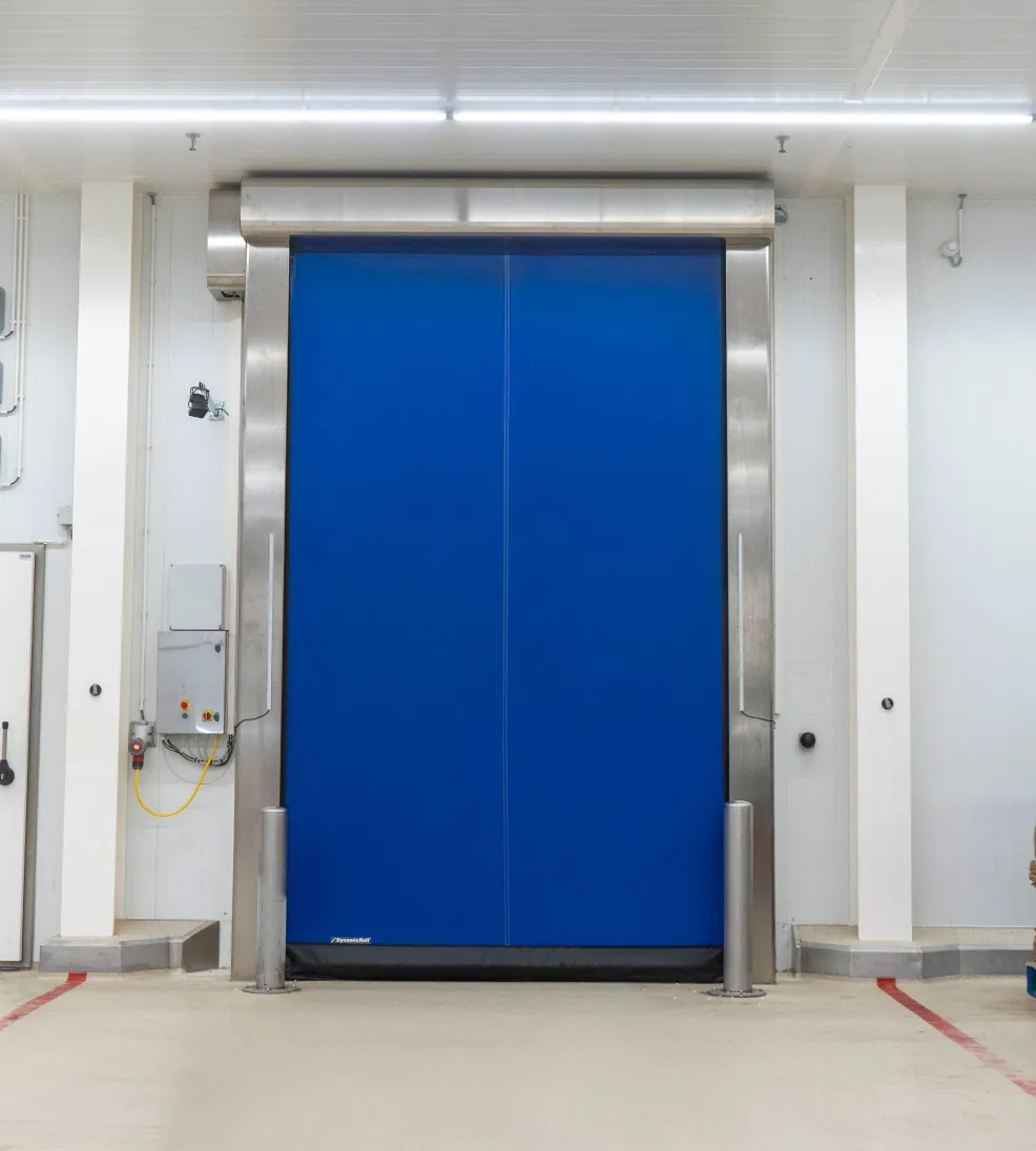 DynamicRoll Frigo 2 Air high-speed freezer door with a blue curtain in stainless columns