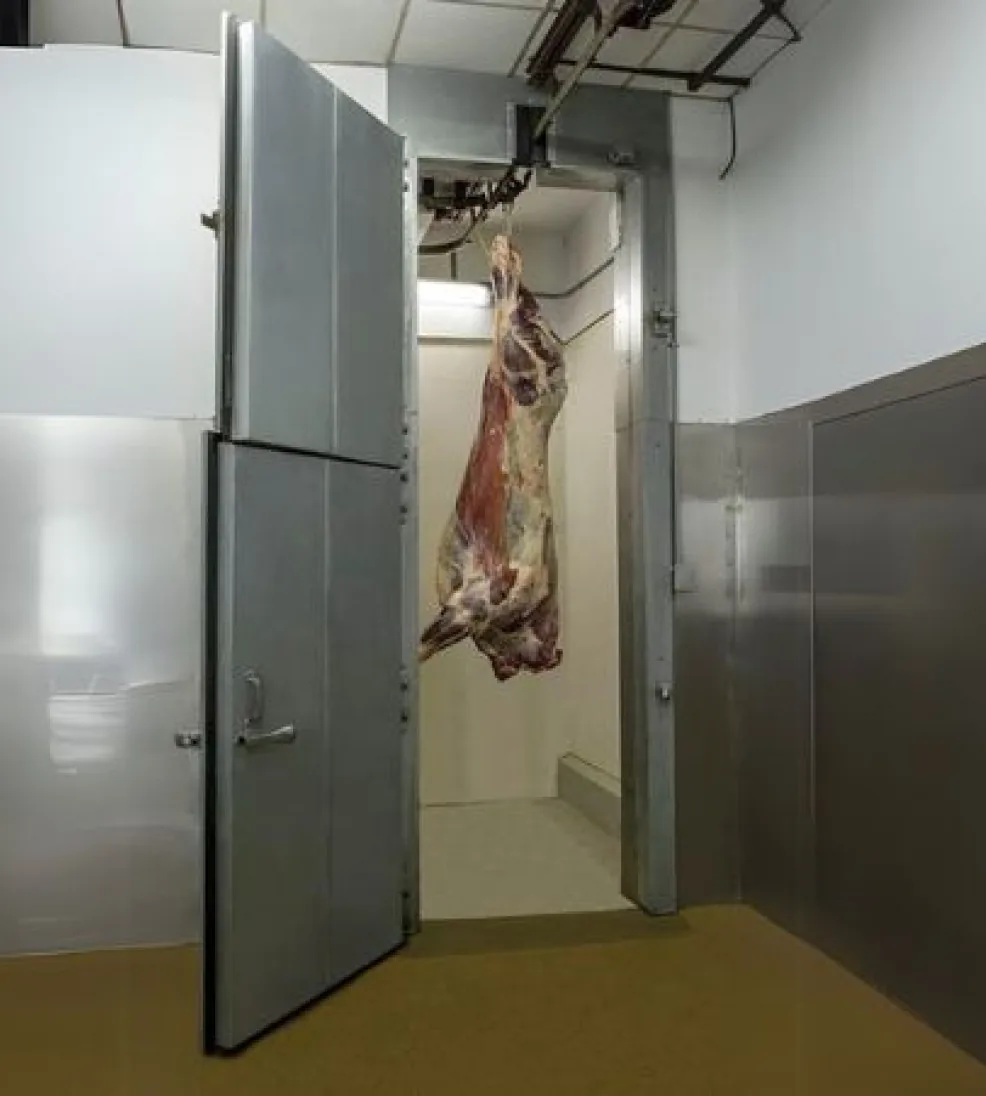 Jamofoam I track-port swing door standing open with a carcass on the overhead meat rail passing through